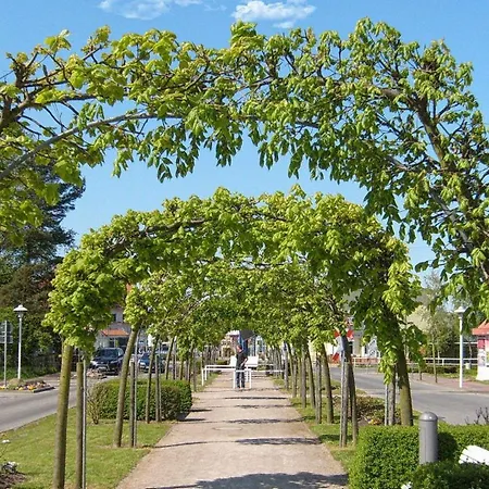 Apartment Ferienwohnung-6-15 Baabe